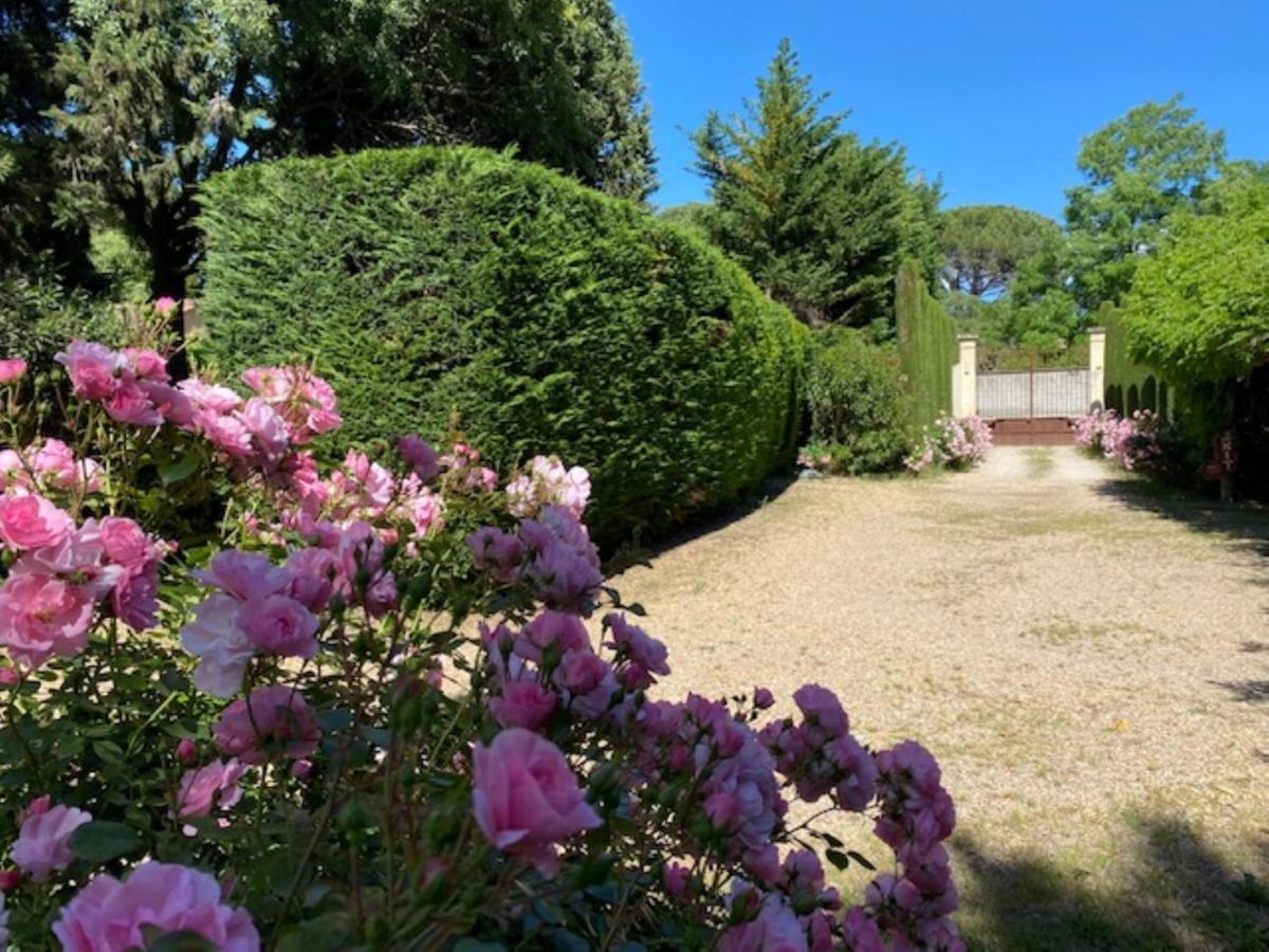 Mas la Pauline Gîtes de charme&roulotte Saint-Rémy-de-Provence Extérieur photo