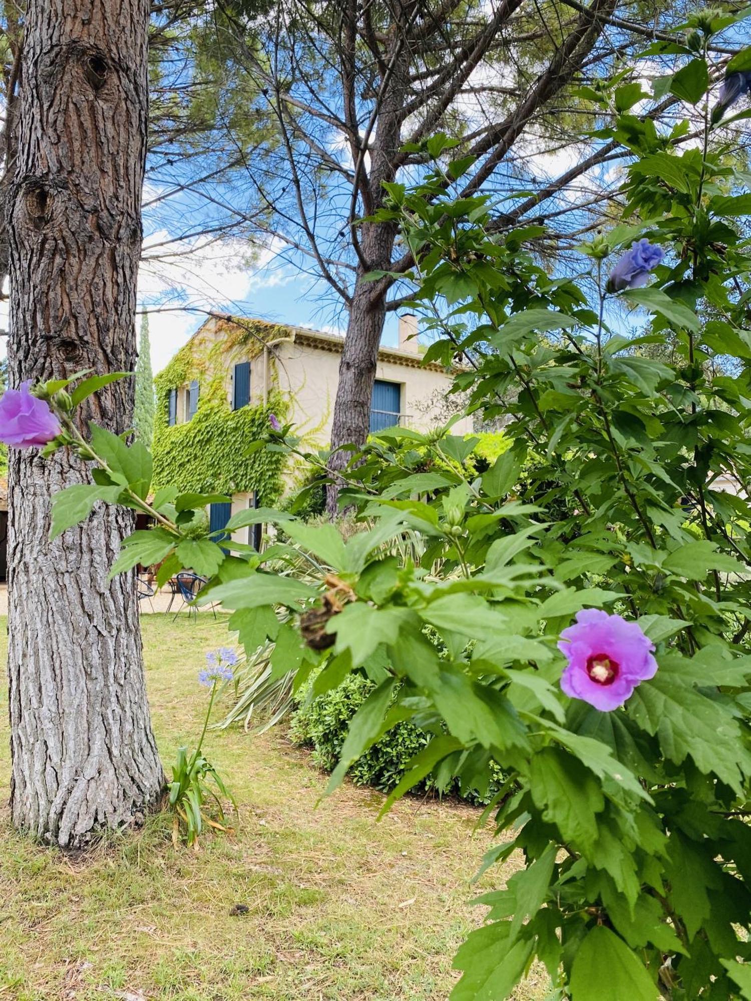 Mas la Pauline Gîtes de charme&roulotte Saint-Rémy-de-Provence Extérieur photo